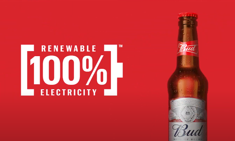 Bud met hernieuwbare energie gebrouwen